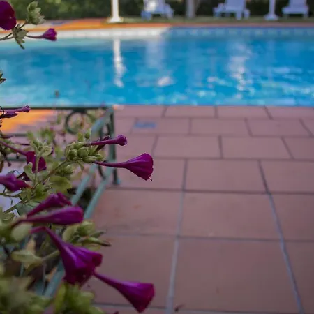 Quinta Da Victoria Σπίτι διακοπών Βιάνα ντο Καστέλο